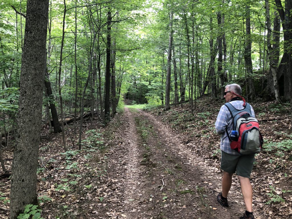 A man wearing sunglasses and a backpack walks down a wide dirt trail in a deciduous forest.
