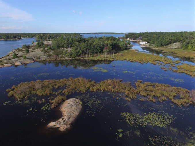 Aerial drone photo showing a wetland with rocks, grasses, waterlilies, and trees.