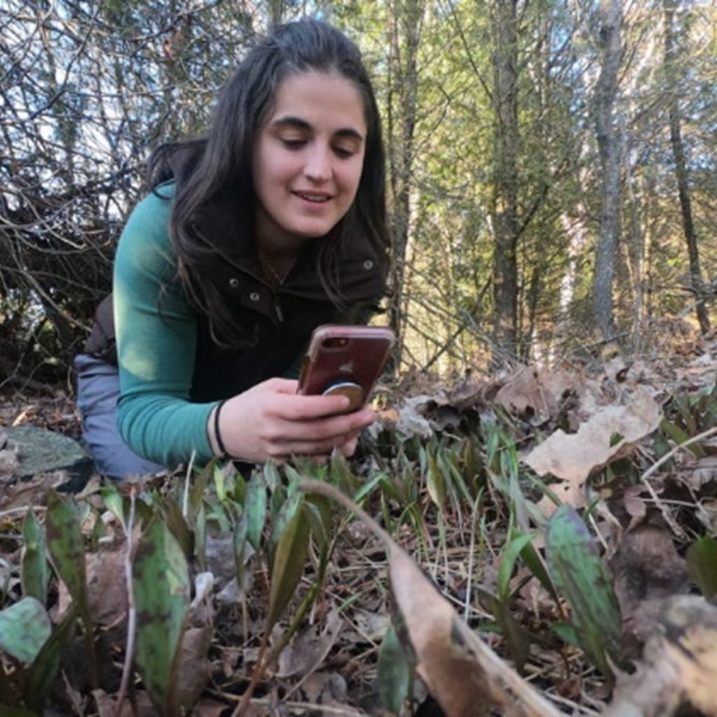 Someone kneels down and holds their phone up to a plant on the forest floor