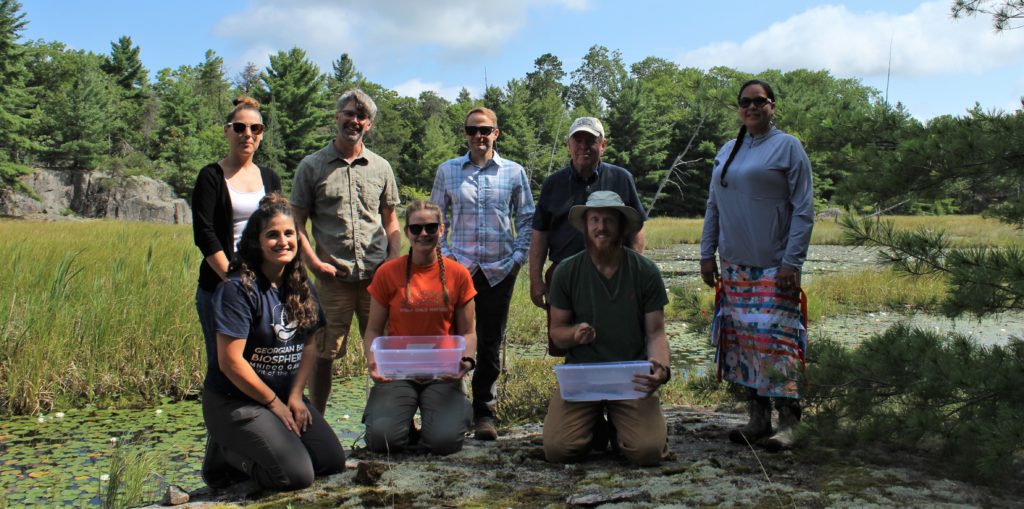 A group of people standing and kneeling in front of a wetland. Two people are holding plastic bins containing baby turtles.